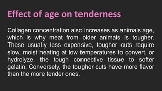 Effect of age on tenderness
Collagen concentration also increases as animals age,
which is why meat from older animals is tougher.
These usually less expensive, tougher cuts require
slow, moist heating at low temperatures to convert, or
hydrolyze, the tough connective tissue to softer
gelatin. Conversely, the tougher cuts have more flavor
than the more tender ones.
 