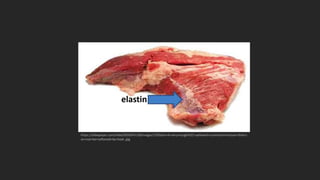 elastin
https://slideplayer.com/slide/9359347/28/images/7/Elastin+A+very+tough%2C+yellowish+connective+tissue+that+c
an+not+be+softened+by+heat..jpg
 