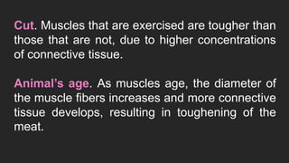 Cut. Muscles that are exercised are tougher than
those that are not, due to higher concentrations
of connective tissue.
Animal’s age. As muscles age, the diameter of
the muscle fibers increases and more connective
tissue develops, resulting in toughening of the
meat.
 