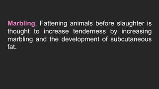 Marbling. Fattening animals before slaughter is
thought to increase tenderness by increasing
marbling and the development of subcutaneous
fat.
 