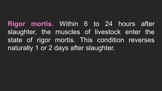 Rigor mortis. Within 6 to 24 hours after
slaughter, the muscles of livestock enter the
state of rigor mortis. This condition reverses
naturally 1 or 2 days after slaughter.
 