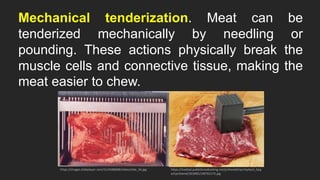 Mechanical tenderization. Meat can be
tenderized mechanically by needling or
pounding. These actions physically break the
muscle cells and connective tissue, making the
meat easier to chew.
https://images.slideplayer.com/15/4588608/slides/slide_34.jpg https://mediad.publicbroadcasting.net/p/shared/npr/styles/x_larg
e/nprshared/201805/190762175.jpg
 