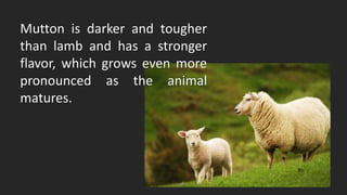 Mutton is darker and tougher
than lamb and has a stronger
flavor, which grows even more
pronounced as the animal
matures.
 