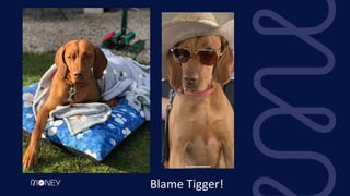 Blame Tigger!
 