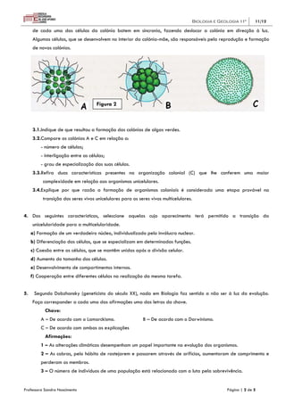 Biologia e Geologia 11º     11/12

     de cada uma das células da colónia batem em sincronia, fazendo deslocar a colónia em direcção à luz.
     Algumas células, que se desenvolvem no interior da colónia-mãe, são responsáveis pela reprodução e formação
     de novas colónias.




                                     Figura 2



     3.1.Indique de que resultou a formação das colónias de algas verdes.
     3.2.Compare as colónias A e C em relação a:
         - número de células;
         - interligação entre as células;
         - grau de especialização das suas células.
     3.3.Refira duas características presentes na organização colonial (C) que lhe conferem uma maior
          complexidade em relação aos organismos unicelulares.
     3.4.Explique por que razão a formação de organismos coloniais é considerada uma etapa provável na
          transição dos seres vivos unicelulares para os seres vivos multicelulares.


4. Das seguintes características, seleccione aquelas cujo aparecimento terá permitido a transição da
     unicelularidade para a multicelularidade.
     a) Formação de um verdadeiro núcleo, individualizado pelo invólucro nuclear.
     b) Diferenciação das células, que se especializam em determinadas funções.
     c) Coesão entre as células, que se mantêm unidas após a divisão celular.
     d) Aumento do tamanho das células.
     e) Desenvolvimento de compartimentos internos.
     f) Cooperação entre diferentes células na realização da mesma tarefa.


5.    Segundo Dobzhansky (geneticista do século XX), nada em Biologia faz sentido a não ser à luz da evolução.
     Faça corresponder a cada uma das afirmações uma das letras da chave.
           Chave:
         A – De acordo com o Lamarckismo.                  B – De acordo com o Darwinismo.
         C – De acordo com ambas as explicações
           Afirmações:
         1 – As alterações climáticas desempenham um papel importante na evolução dos organismos.
         2 – As cobras, pelo hábito de rastejarem e passarem através de orifícios, aumentaram de comprimento e
         perderam os membros.
         3 – O número de indivíduos de uma população está relacionado com a luta pela sobrevivência.


Professora Sandra Nascimento                                                                         Página | 2 de 5
 