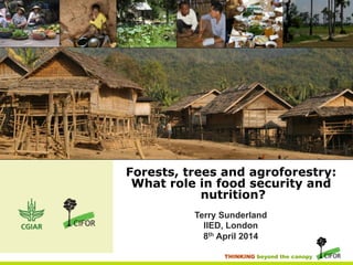 THINKING beyond the canopy
Forests, trees and agroforestry:
What role in food security and
nutrition?
Terry Sunderland
IIED, London
8th April 2014
 