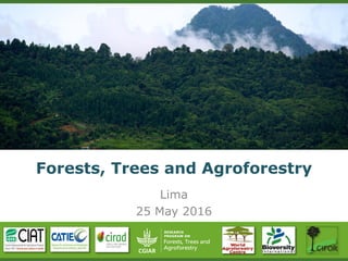 Forests, Trees and Agroforestry
Lima
25 May 2016
 