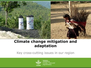 Climate change mitigation and
adaptation
Key cross-cutting issues in our region
 