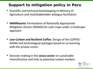 Support to mitigation policy in Peru
• Scientific and technical backstopping to Ministry of
Agriculture and multistakeholder dialogue facilitation
• iNAMAzonia: Formulation of Nationally Appropriate
Mitigation Actions (NAMA) for cash crops under a landscape
approach
• Low Carbon and Resilient Coffee: Design of the COFFEE-
NAMA and technological packages based on co-learning
with the private sector
• Decision making in the cocoa sector on sustainable
intensification and links to potential carbon markets
 