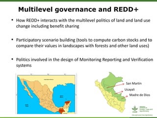Multilevel governance and REDD+
• How REDD+ interacts with the multilevel politics of land and land use
change including benefit sharing
• Participatory scenario building (tools to compute carbon stocks and to
compare their values in landscapes with forests and other land uses)
• Politics involved in the design of Monitoring Reporting and Verification
systems
San Martin
Ucayali
Madre de Dios
 