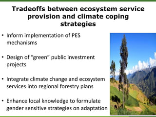Tradeoffs between ecosystem service
provision and climate coping
strategies
• Inform implementation of PES
mechanisms
• Design of “green” public investment
projects
• Integrate climate change and ecosystem
services into regional forestry plans
• Enhance local knowledge to formulate
gender sensitive strategies on adaptation
 