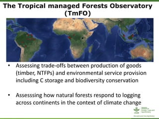 The Tropical managed Forests Observatory
(TmFO)
• Assessing trade-offs between production of goods
(timber, NTFPs) and environmental service provision
including C storage and biodiversity conservation
• Assesssing how natural forests respond to logging
across continents in the context of climate change
 