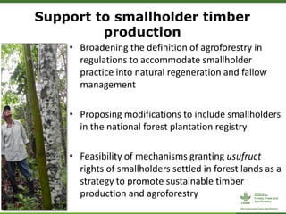 Support to smallholder timber
production
• Broadening the definition of agroforestry in
regulations to accommodate smallholder
practice into natural regeneration and fallow
management
• Proposing modifications to include smallholders
in the national forest plantation registry
• Feasibility of mechanisms granting usufruct
rights of smallholders settled in forest lands as a
strategy to promote sustainable timber
production and agroforestry
 