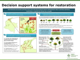 Decision support systems for restoration
 
