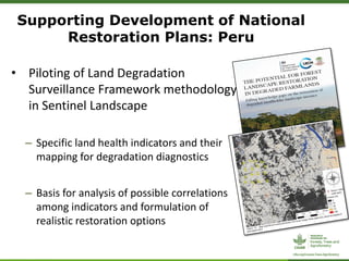 Supporting Development of National
Restoration Plans: Peru
• Piloting of Land Degradation
Surveillance Framework methodology
in Sentinel Landscape
– Specific land health indicators and their
mapping for degradation diagnostics
– Basis for analysis of possible correlations
among indicators and formulation of
realistic restoration options
 