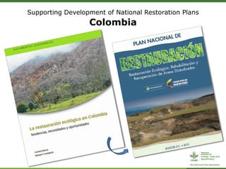 Supporting Development of National Restoration Plans
Colombia
 