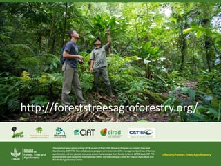 http://foreststreesagroforestry.org/
 