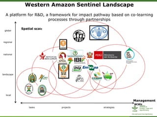 Western Amazon Sentinel Landscape
A platform for R&D, a framework for impact pathway based on co-learning
processes through partnerships
global
regional
national
landscape
local
tasks projects strategies
Spatial scale
Management
scale
 