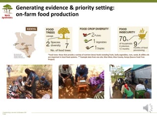 Trees on Farms - Diversity for Nutrition
