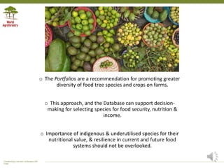 Trees on Farms - Diversity for Nutrition