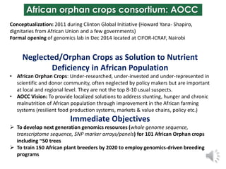 African orphan crops consortium: AOCC
Conceptualization: 2011 during Clinton Global Initiative (Howard Yana- Shapiro,
dign...