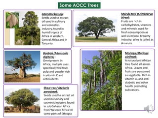 African Orphan Crops and Trees Delivering More Nutritious Food 