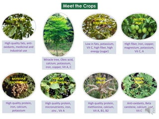 African Orphan Crops and Trees Delivering More Nutritious Food 