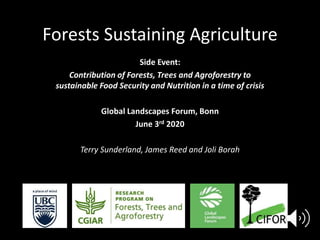 Forests Sustaining Agriculture
Side Event:
Contribution of Forests, Trees and Agroforestry to
sustainable Food Security an...