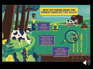 Forests Sustaining Agriculture