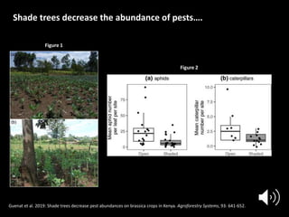 Forests Sustaining Agriculture