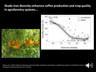 Forests Sustaining Agriculture