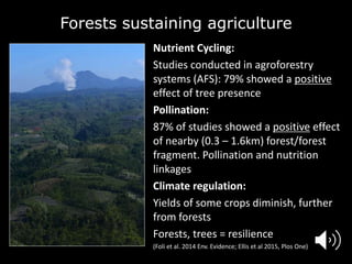 Forests Sustaining Agriculture