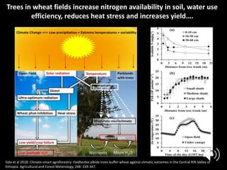 Forests Sustaining Agriculture