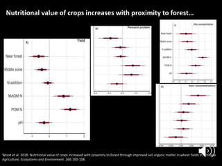 Forests Sustaining Agriculture