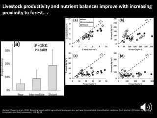 Forests Sustaining Agriculture