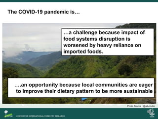 Dietary transition and food system disruption in forested areas of Indonesia
