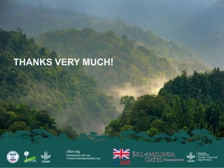 Dietary transition and food system disruption in forested areas of Indonesia