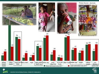 Dietary transition and food system disruption in forested areas of Indonesia