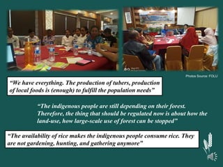 Dietary transition and food system disruption in forested areas of Indonesia