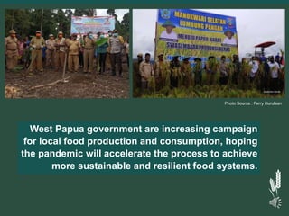 Dietary transition and food system disruption in forested areas of Indonesia