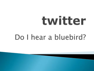 twitter Do I hear a bluebird? 