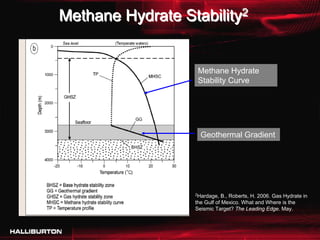 Methane Hydrate Stability2


                      Methane Hydrate
                      Stability Curve




                      Geothermal Gradient




                  2
                   Hardage, B., Roberts, H. 2006. Gas Hydrate in
                  the Gulf of Mexico. What and Where is the
                  Seismic Target? The Leading Edge. May.
 