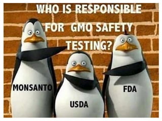 유기농 101 : GMO는 유기농식품에 사용할 수 있는가?
마일스 맥에보이 미국 국가 유기농 프로그램 부행정관, 미국 농무부 블
로그, 2013년 5월 17일 오후 1시 20분(미국 현지시간)
유전공학, 또는 유전자조작생명체는 유기농산물 생산에서
금지하고 있다. 이것은 유기농 농부가 GMO 종자들을 이용
할 수 없음을 의미하고, 유기 소가 GMO 알팔파나 옥수수를
먹지 못하게 제한한다. 그리고 유기농 스프 생산자들이
GMO를 사용할 수 없음을 뜻한다.
소비자들은 그들이 소비하는 유기농식품이 농장에서 판매
업소에 이르기 까지 진정성이 유지되기를 희망한다. 미국
농무부는 이런 기대에 부응하기 위해 최선을 다하고 있다.
그것이 어디에서 생산됐건 미 농무부의 유기농 표시를 한
농식품이라면 GMO와 무관하게 생산한 것이다.
 