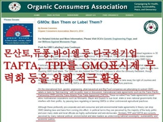 ○ 발견된 유전자조작 작물들은 보관이나 운반중에 땅에 떨어진 씨앗에서 발
아해 개체수가 많지 않음. 일부 축산농가 주변엔 군락을 이룬 상태로 발견됨
○ GMO가 생태계에 미치는 부작용:△토양 미생물상 변화 △해충 저항성 유
전자에 의한 초식성 절지동물 죽음 △먹이사슬 파괴 △생물다양성 감소 등임
○ “가까운 식물종은 생식적으로 완벽하게 격리가 되지 않아 변형된 유전자가
옮겨질 가능성이 있음. 그럴 경우 자연에 있는 고유 유전자가 발현이 되지 않
는 등 훼손되는 결과를 낳을 수도”(이병윤 국립생물자원관 식물자원과장)
출 처:국립환경과학원, LMO 자연환경 모니터링 및 사후관리 연구보고서, 2013. 6.
○ ▲항만 ▲유전자조작작물 가공공장 ▲축산농
가 ▲항만과 최종 소비지 사이의 GMO이동경
로 주변에서 채취한 옥수수,콩,면화,유채등 4가
지 수입작물(시료 626개)분석 결과, 2012년 19
개 지역 42개 시료에서 새로 GMO 확인
○ GMO의 환경유출 사례 증가
전국 2009년 8곳, 2010년 10곳, 2011년 10곳.
2012년 누적 집계 22곳(신규 확인 19곳)
인천항 인근 공장 주변
에서 발견된 GM유채
 