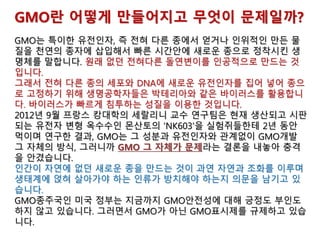 GMO란 어떻게 만들어지고 무엇이 문제일까?
GMO는 특이한 유전인자, 즉 전혀 다른 종에서 얻거나 인위적인 만든 물
질을 천연의 종자에 삽입해서 빠른 시간안에 새로운 종으로 정착시킨 생
명체를 말합니다. 원래 없던 전혀다른 돌연변이를 인공적으로 만드는 것
입니다.
그래서 전혀 다른 종의 세포와 DNA에 새로운 유전인자를 집어 넣어 종으
로 고정하기 위해 생명공학자들은 박테리아와 같은 바이러스를 활용합니
다. 바이러스가 빠르게 침투하는 성질을 이용한 것입니다.
2012년 9월 프랑스 캉대학의 세랄리니 교수 연구팀은 현재 생산되고 시판
되는 유전자 변형 옥수수인 몬산토의 'NK603'을 실험쥐들한테 2년 동안
먹이며 연구한 결과, GMO는 그 성분과 유전인자와 관계없이 GMO개발
그 자체의 방식, 그러니까 GMO 그 자체가 문제라는 결론을 내놓아 충격
을 안겼습니다.
인간이 자연에 없던 새로운 종을 만드는 것이 과연 자연과 조화를 이루며
생태계에 얹혀 살아가야 하는 인류가 방치해야 하는지 의문을 남기고 있
습니다.
GMO종주국인 미국 정부는 지금까지 GMO안전성에 대해 긍정도 부인도
하지 않고 있습니다. 그러면서 GMO가 아닌 GMO표시제를 규제하고 있습
니다.
 