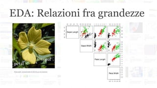 EDA: Relazioni fra grandezze
"Petal-sepal". Licensed under CC BY-SA 3.0 via Commons
 