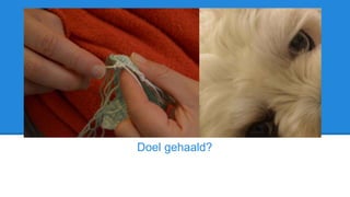 Facebook, Twitter en
bloggen met de klas.
Doel gehaald?
 