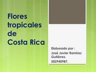 Flores
tropicales
de
Costa Rica
Elaborado por :
José Javier Ramírez
Gutiérrez.
502940987.

 