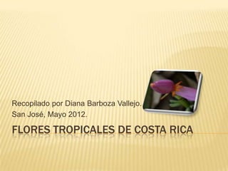 Recopilado por Diana Barboza Vallejo.
San José, Mayo 2012.

FLORES TROPICALES DE COSTA RICA
 