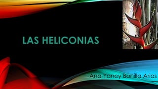 LAS HELICONIAS
Ana Yancy Bonilla Arias
 